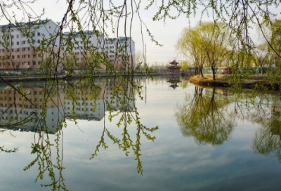 ​最让人造句,用最让人怎么造句