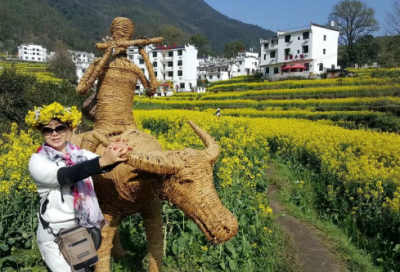 ​是还是造句,用是还是怎么造句