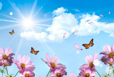 ​敌不过造句,用敌不过怎么造句