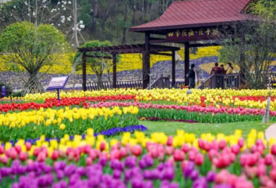 ​研造句,用研怎么造句