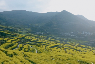 ​磨造句,用磨怎么造句