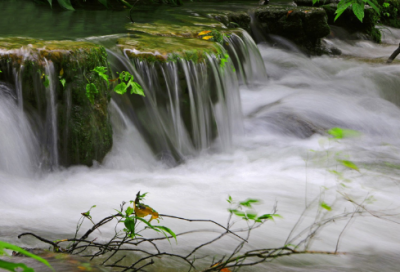 ​仰卧起坐造句,用仰卧起坐怎么造句