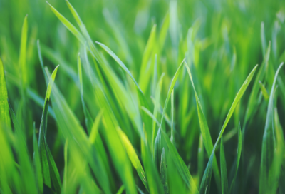 ​里造句,用里怎么造句