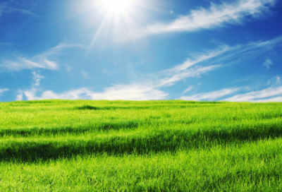 ​掏造句,用掏怎么造句