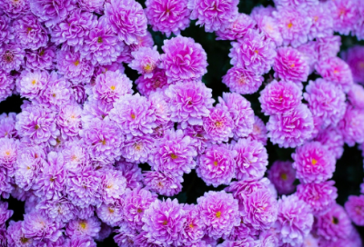 ​除了还有造句,用除了还有怎么造句