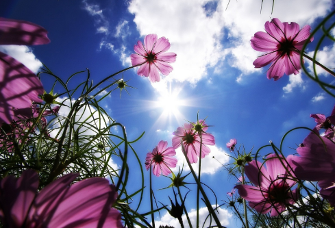 1688270332142968.png image.png