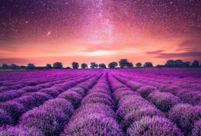 ​经风雨，见世面造句,用经风雨，见世面怎么造句