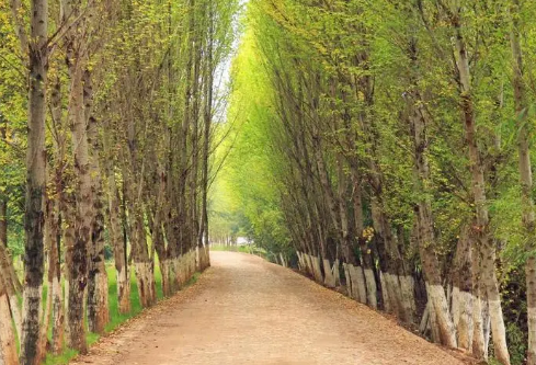 1688271520647493.png image.png