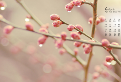 ​贝造句,用贝怎么造句