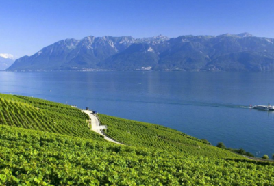 ​划造句,用划怎么造句