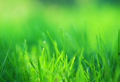 ​开心造句,用开心怎么造句