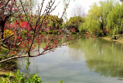 ​敲竹杠造句,用敲竹杠怎么造句