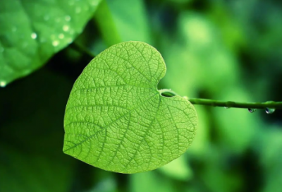 ​得饶人处且饶人造句,用得饶人处且饶人怎么造句