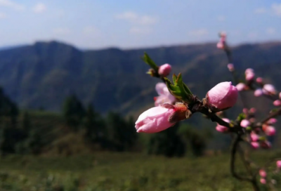 ​宰相肚里能撑船造句,用宰相肚里能撑船怎么造句