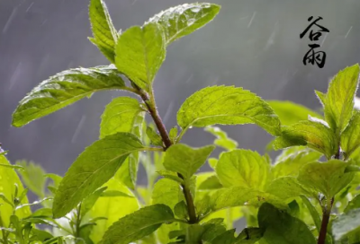 ​一棍子打死造句,用一棍子打死怎么造句