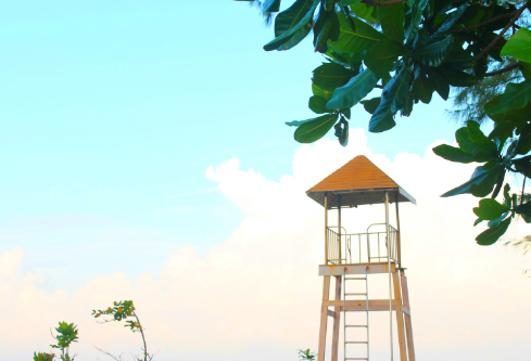 1688276027659302.png image.png