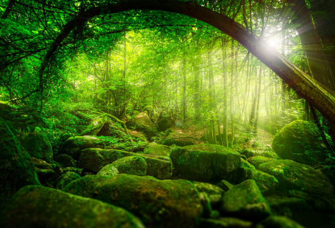 1688276361890937.png image.png