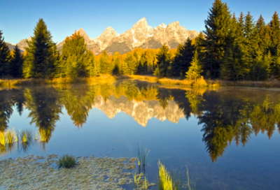 ​打造句,用打怎么造句