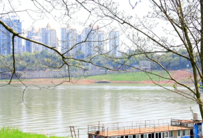 ​上气不接下气造句,用上气不接下气怎么造句