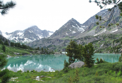 ​茫然不知所措造句,用茫然不知所措怎么造句