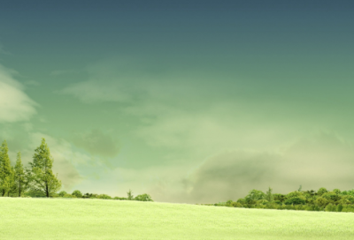 ​自造句,用自怎么造句