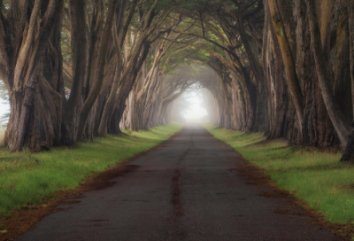 ​事实胜于雄辩造句,用事实胜于雄辩怎么造句