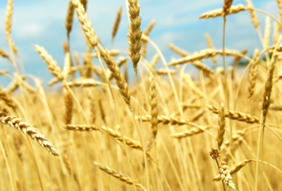 ​相信造句,用相信怎么造句