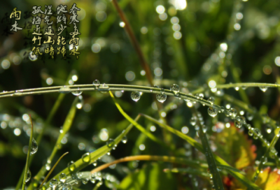 ​铃铛造句,用铃铛怎么造句