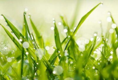 ​勘造句,用勘怎么造句