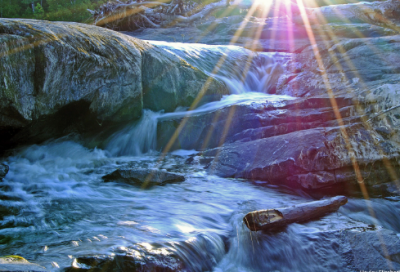 ​度造句,用度怎么造句