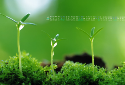 ​老油条造句,用老油条怎么造句