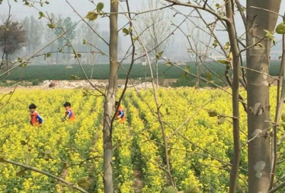 ​特别造句,用特别怎么造句