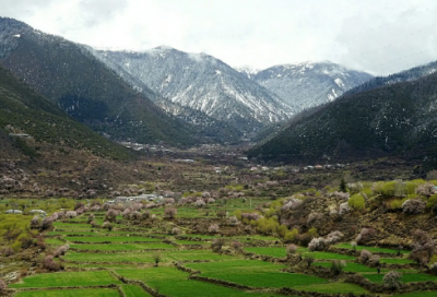 ​积少成多造句,用积少成多怎么造句