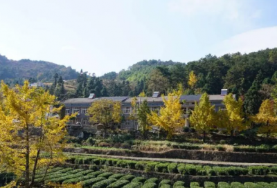 ​打擂台造句,用打擂台怎么造句