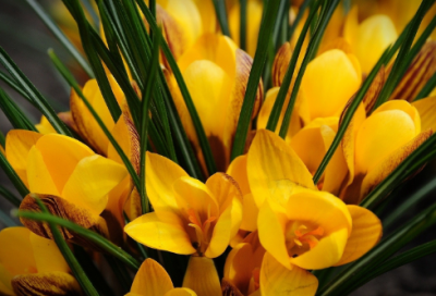 ​防患于未然造句,用防患于未然怎么造句