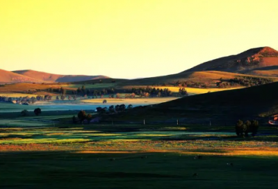 ​曲线造句,用曲线怎么造句