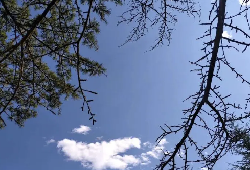 1688287081775651.png image.png