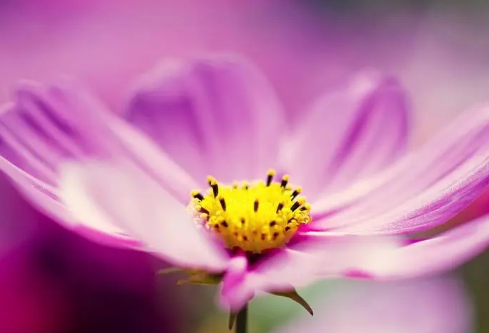 1688287415717057.png image.png