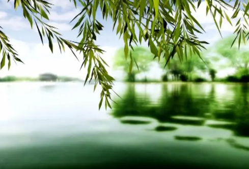 1688288256182269.png image.png