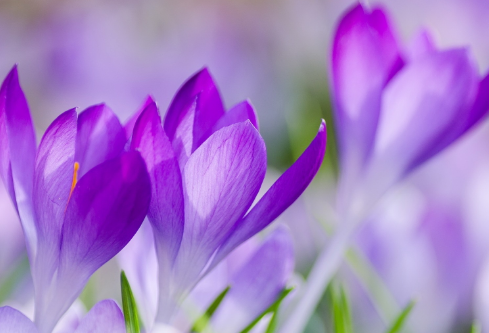 1688288589474435.png image.png