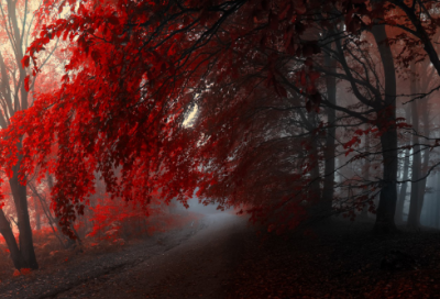 ​励志的书籍有哪些名著（一生最值得读的20本书）