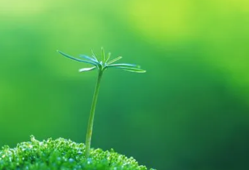 1688354095753888.png image.png