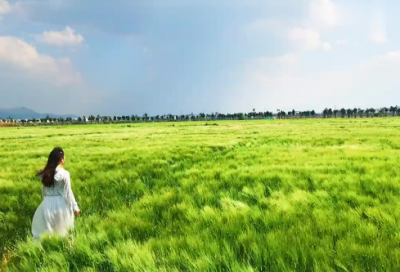 ​设计师工作计划及目标（设计师个人职业规划简短）