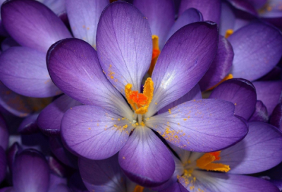 ​于谦的简介资料（于谦的一生简介介绍）