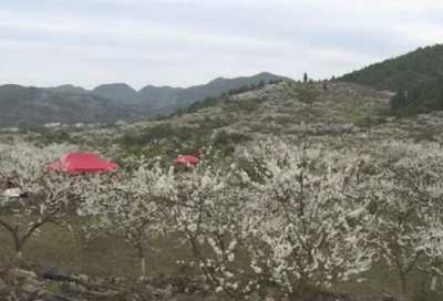 ​滕州的古驿道与文人趣事