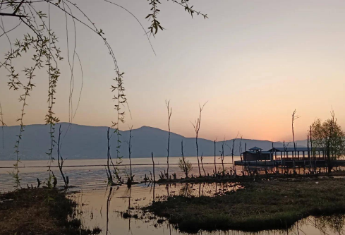 1688362272854219.png image.png