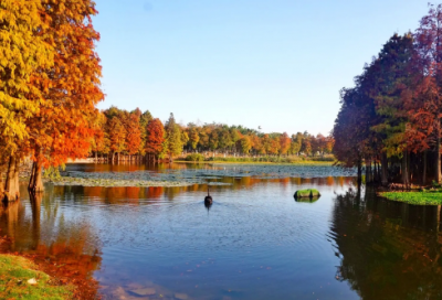 ​鼓励学生的话简短（激励孩子努力上进的良言妙语）