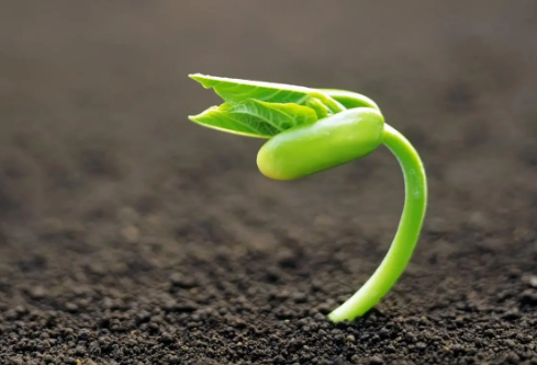 1688362772439230.png image.png