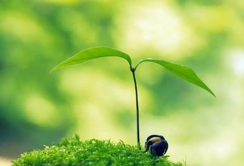 1688370445136210.png image.png