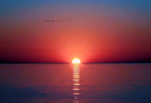 1688373115257618.png image.png